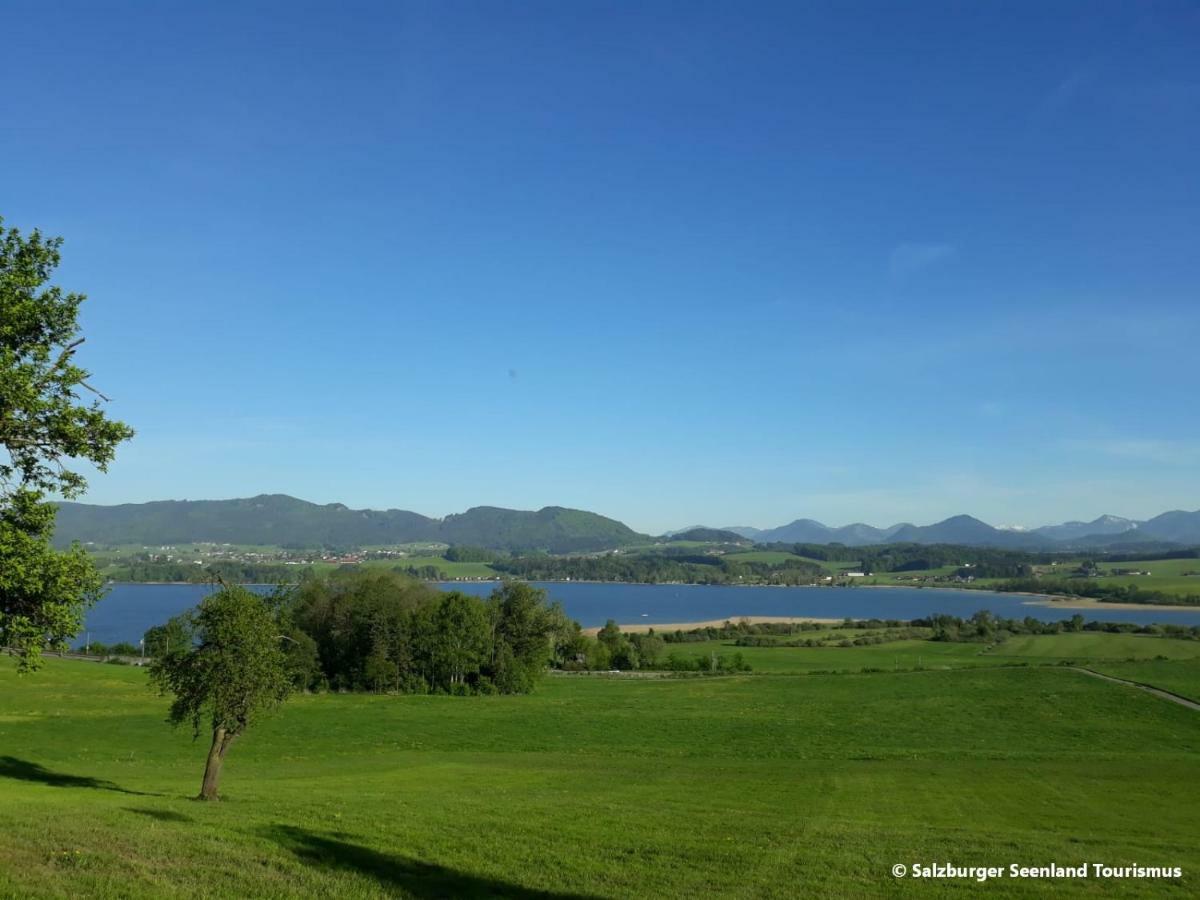 Pp-Camping Wallersee سيكريتشن ام والرزي المظهر الخارجي الصورة