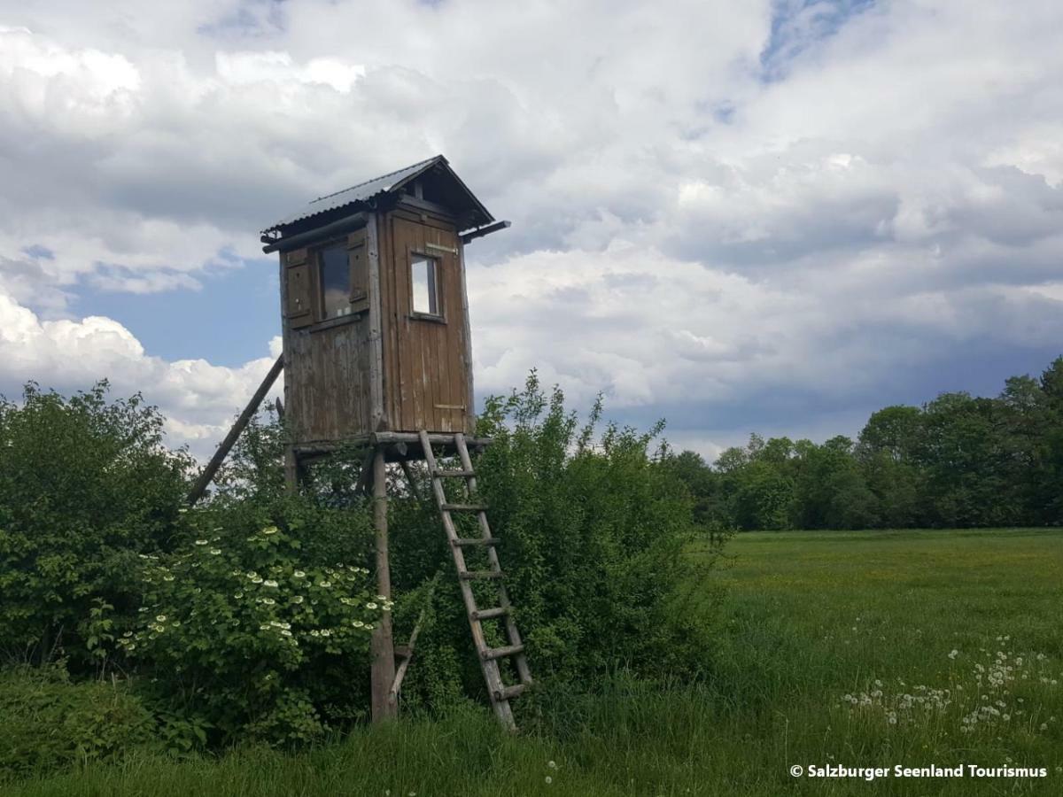 Pp-Camping Wallersee سيكريتشن ام والرزي المظهر الخارجي الصورة