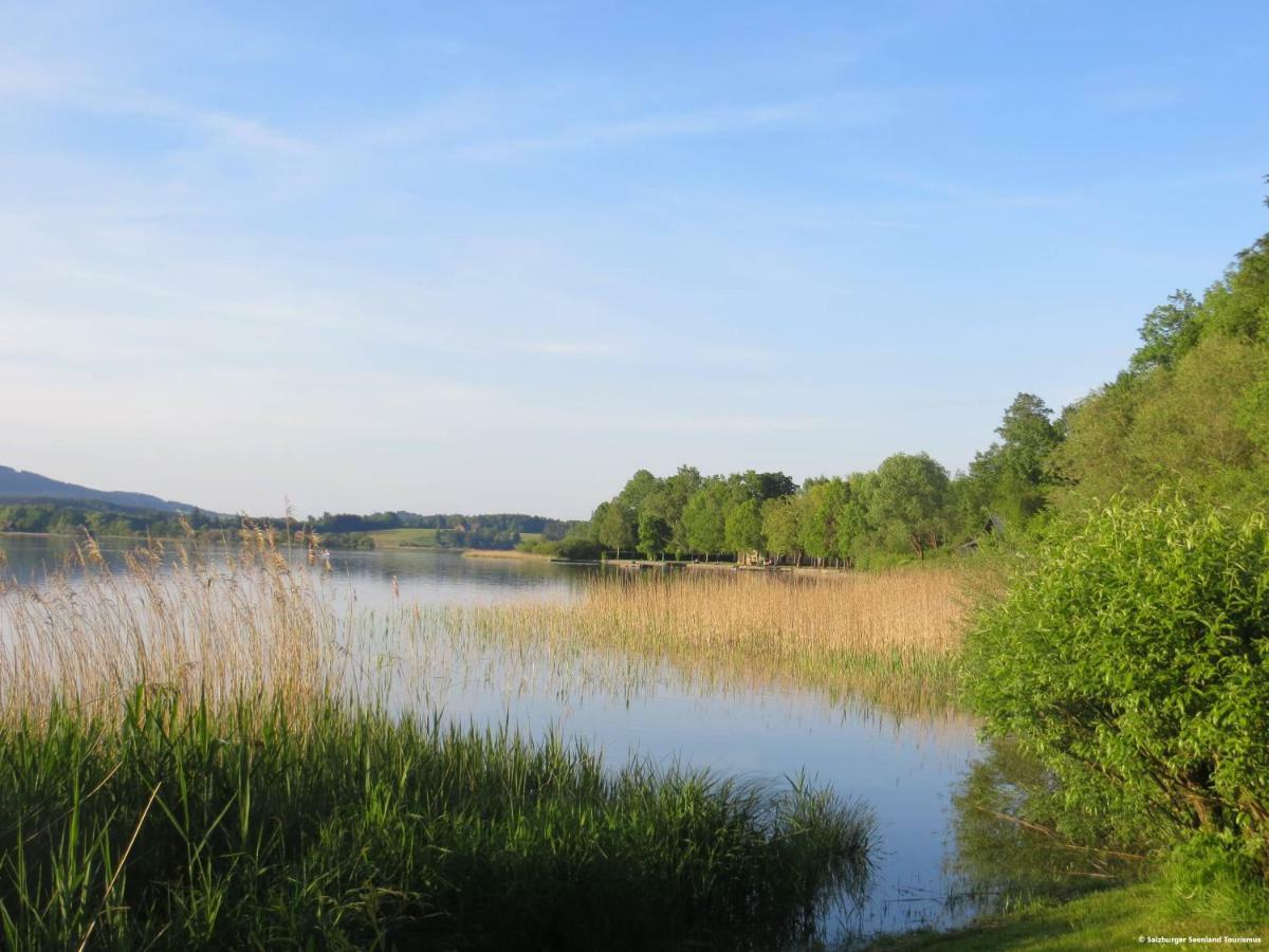 Pp-Camping Wallersee سيكريتشن ام والرزي المظهر الخارجي الصورة